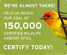 Certify your yard today!
